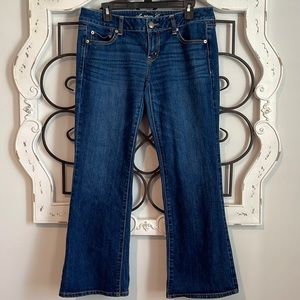 American Eagle Favorite Boyfriend Stretch Jeans Size 10 Short